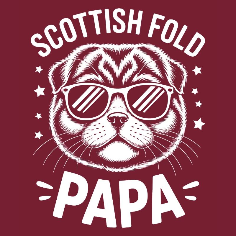Cadeau Fold écossais Chats pliants écossais
