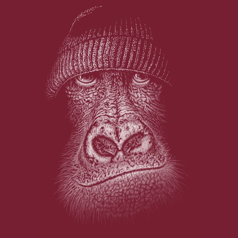 Gorilla with a woolly hat! Ape Illustration