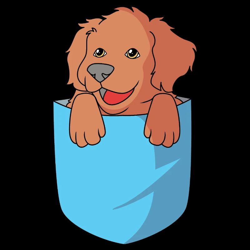 Boykin Spaniel