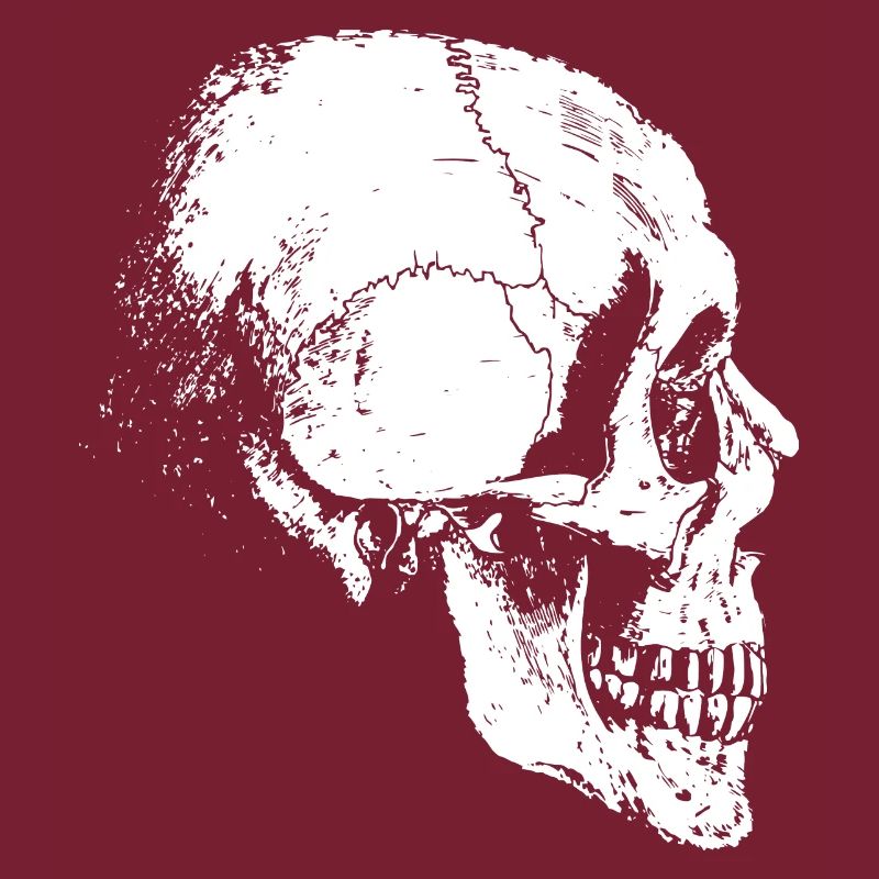 Skelettkopf