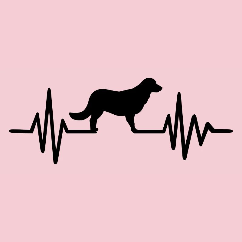 Flat Coated Retriever