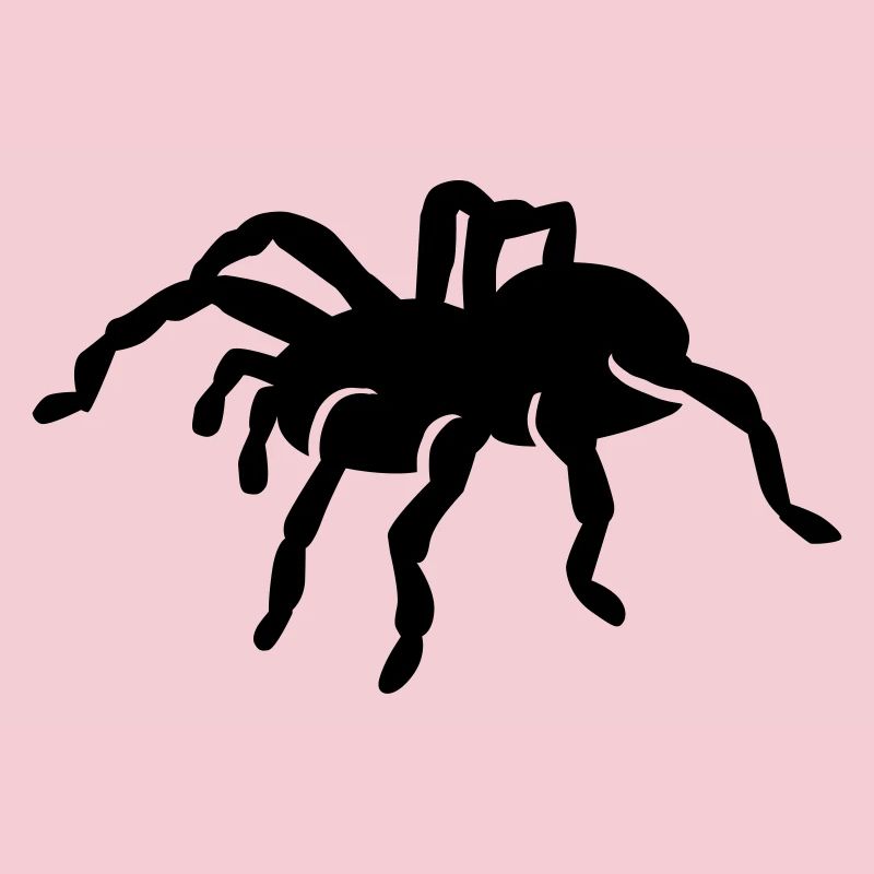Spinne