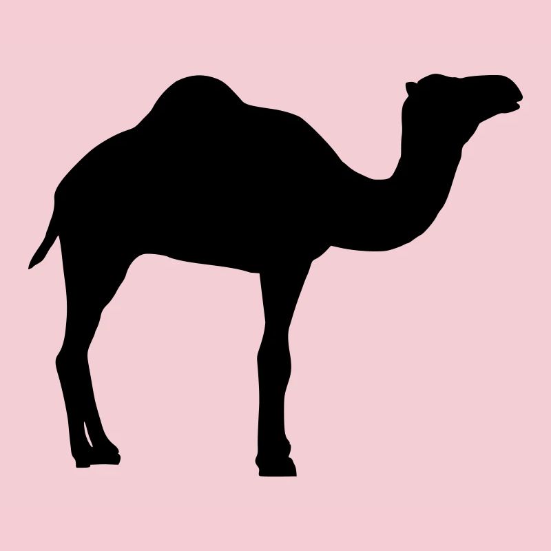 Kamel