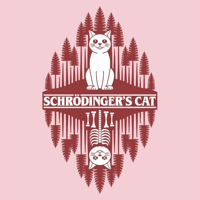 Le chat de Schroedinger : une chose étrange