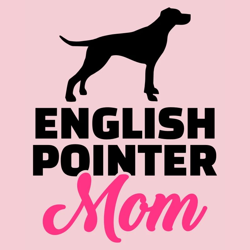English Pointer