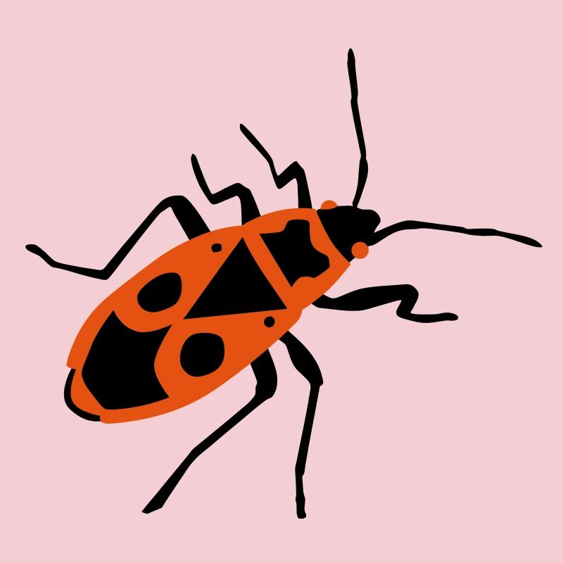 Fire beetle - insect - Firebug