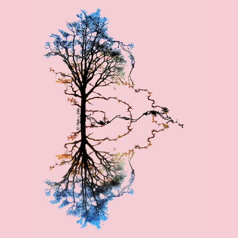 Two Trees