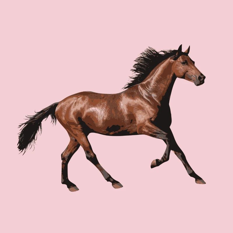 amour de cheval