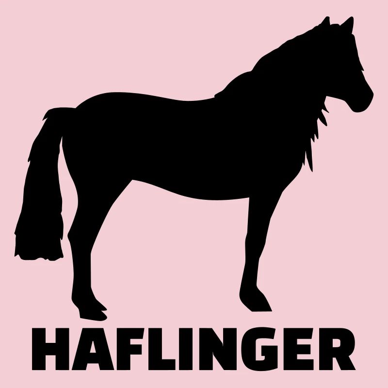 Haflinger