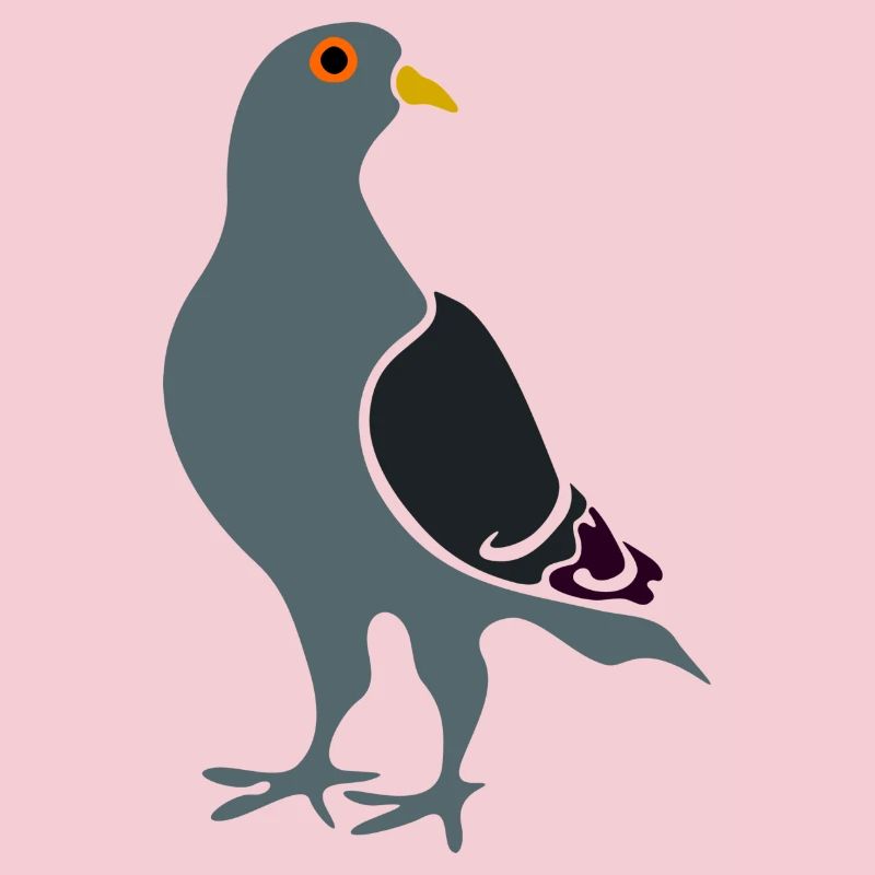 pigeon gris