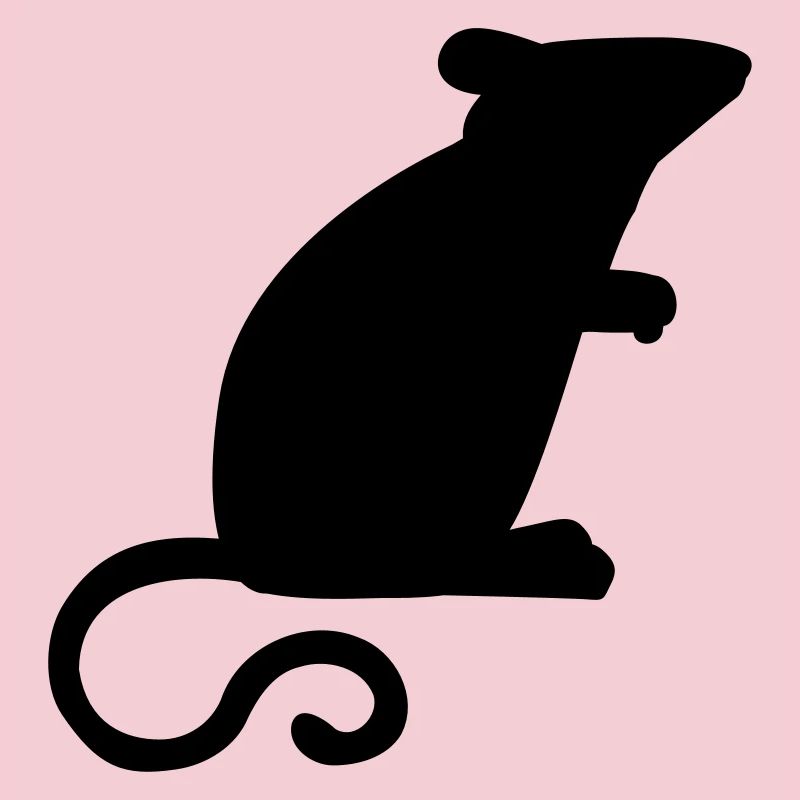Souris