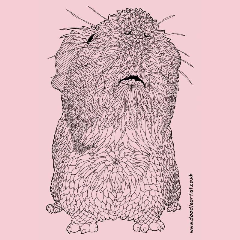 Curious guinea pig