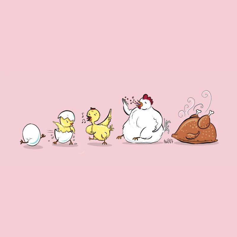 Évolution du poulet