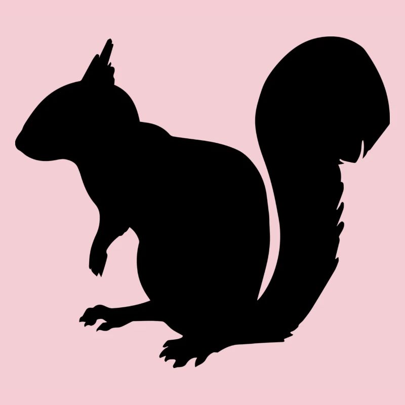 Eichhörnchen
