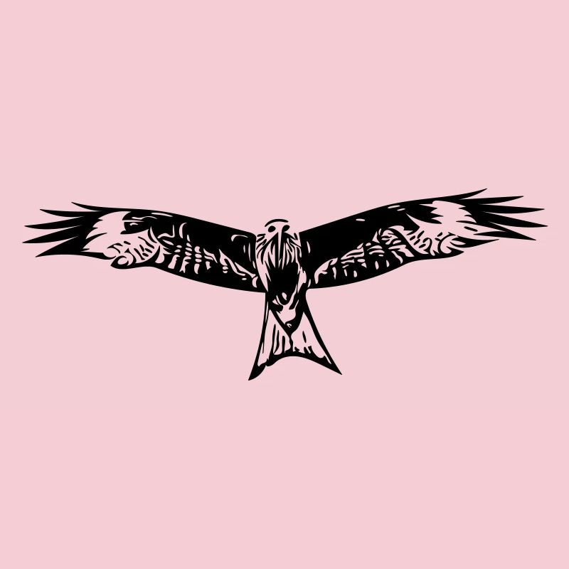 Falcon