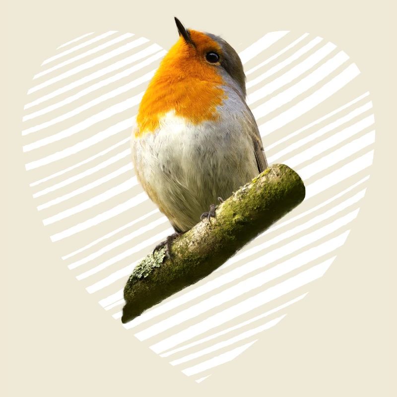 Robin Songbird