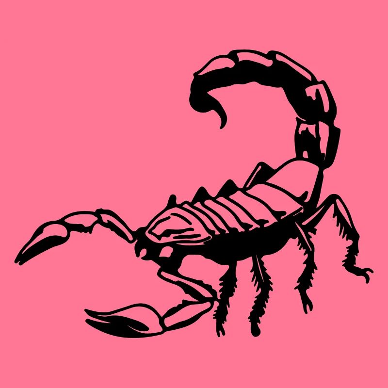scorpion