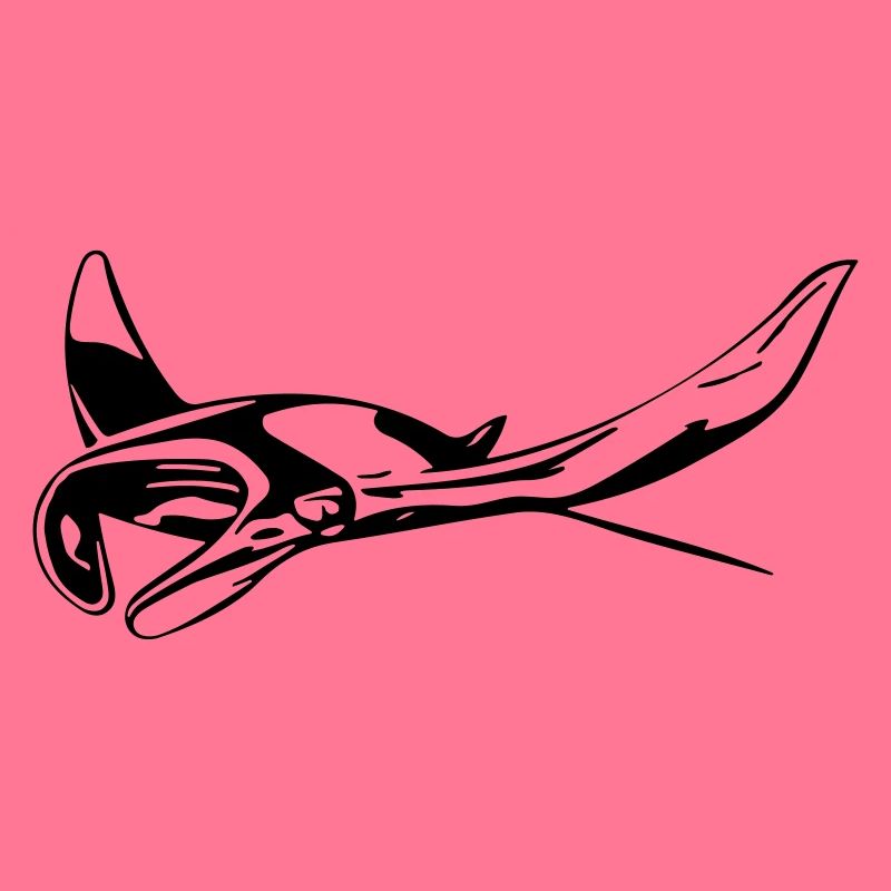 Manta Rochen