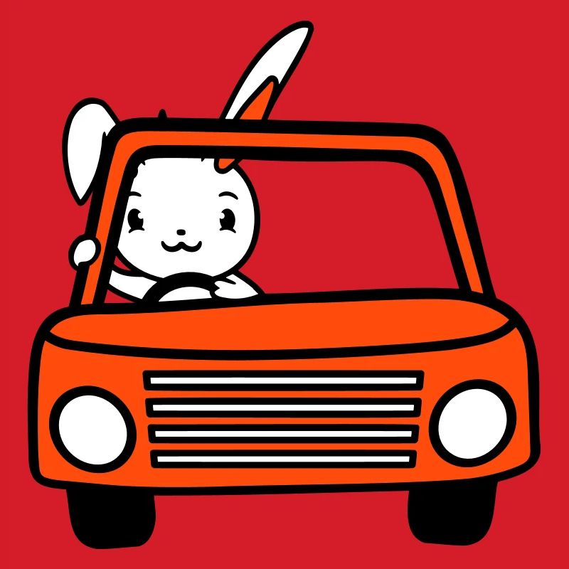 Rabbit Driving Car Driver Driving License Passed