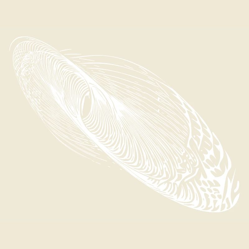 Ellipse abstraite de forme d’oscillation