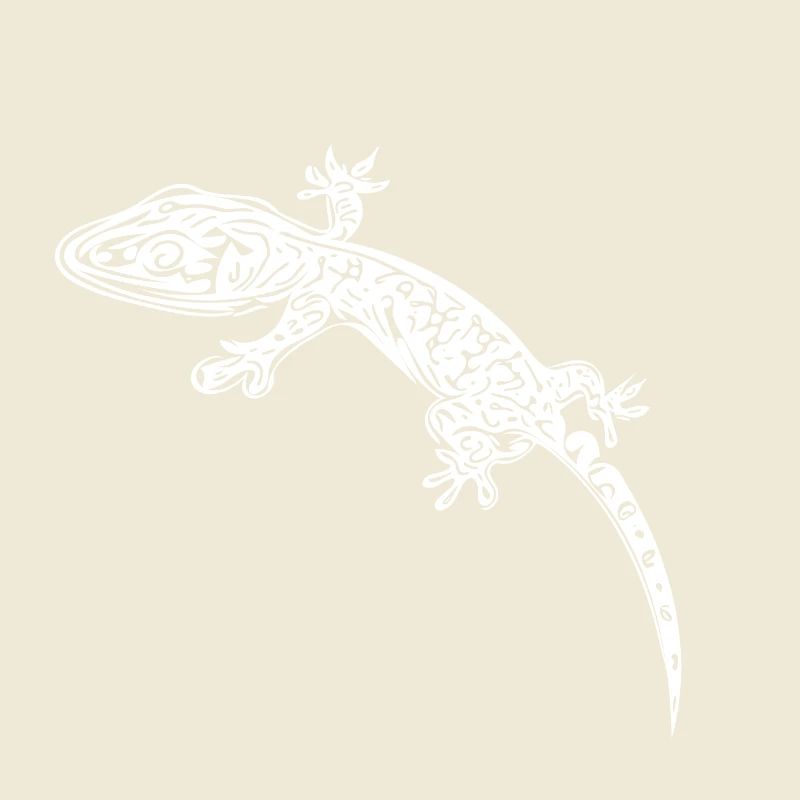 Small gecko on the wall
