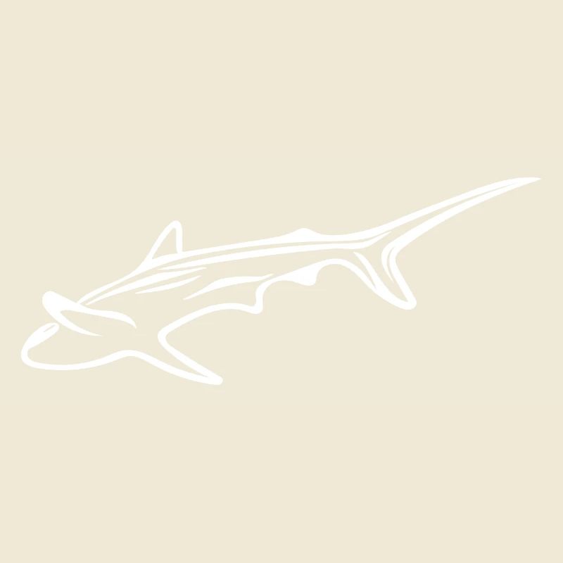 Requin élégant dans le courant de dérive