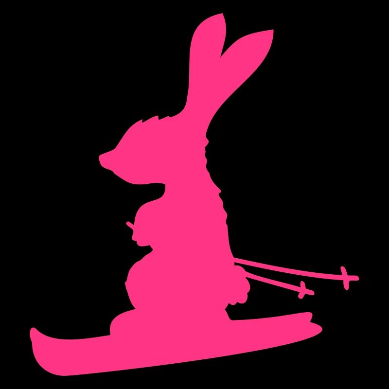 lapin ski lapin ski hiver ski neige