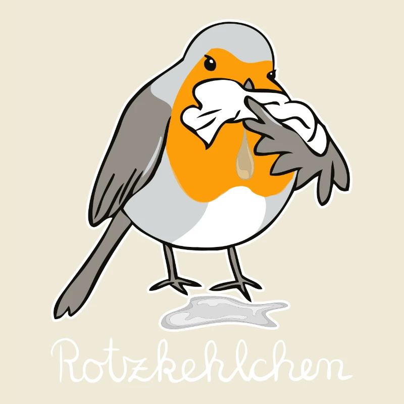 Rotzkehlchen hell Rotkehlchen hat Schnupfen