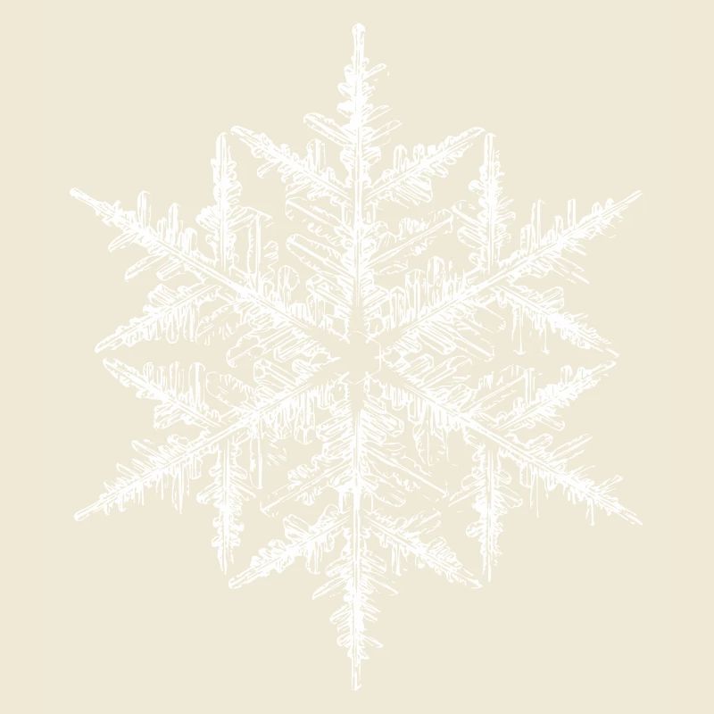 snowflake 5 white