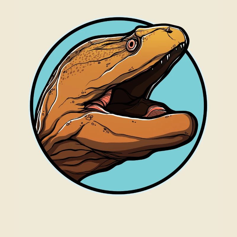 Moray eels Moray eel