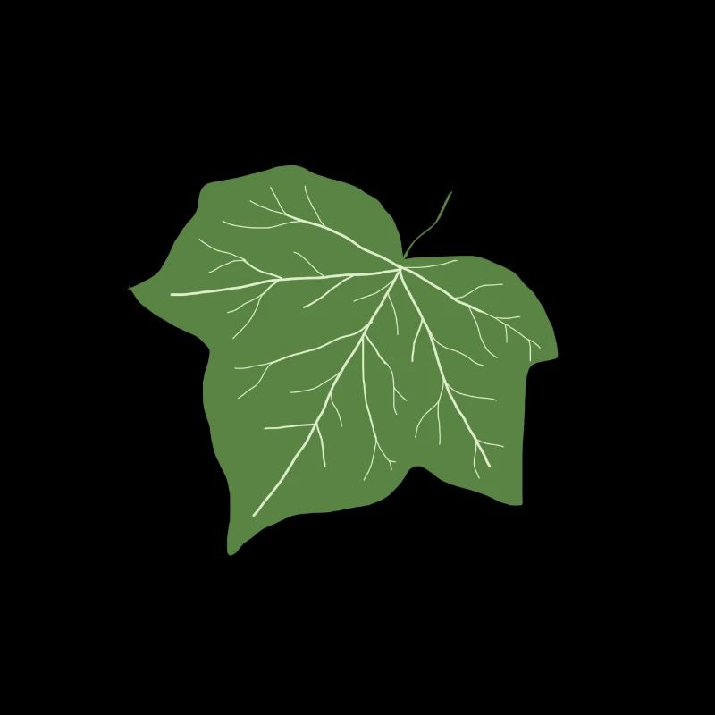 Efeu