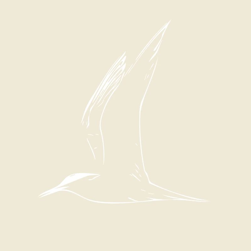 gull