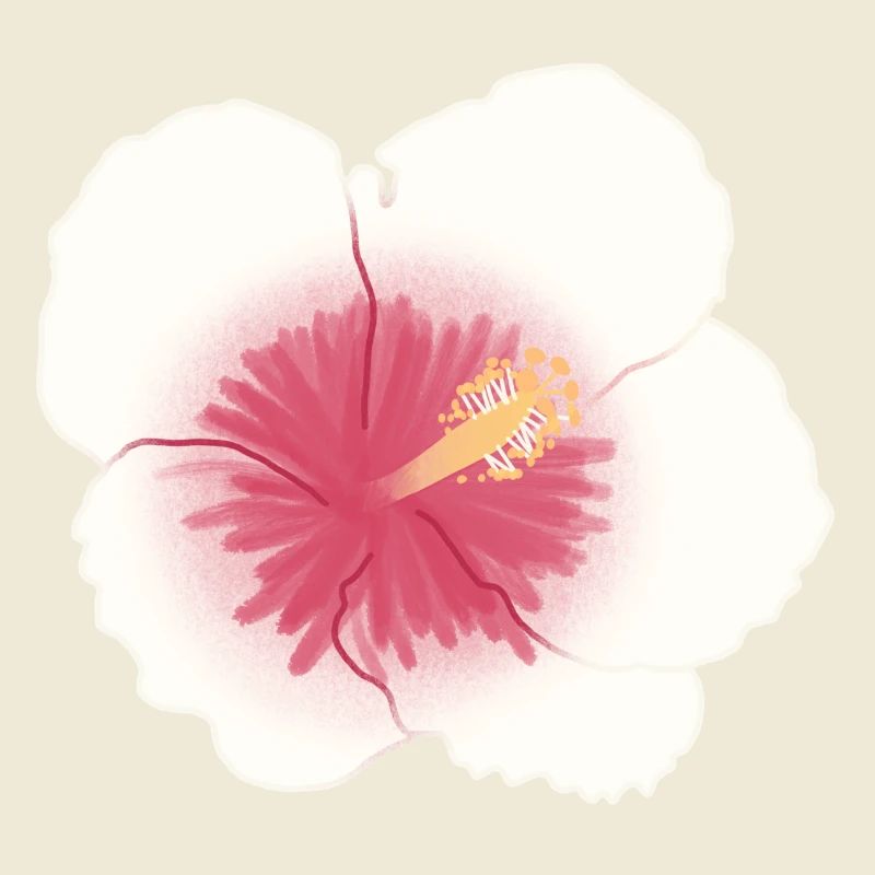 hibiscus flower