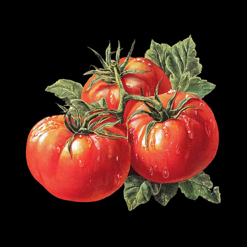 Tomate
