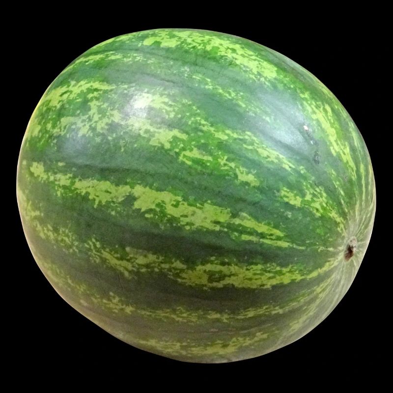 veggie pastèque pastèque melon melon gemues