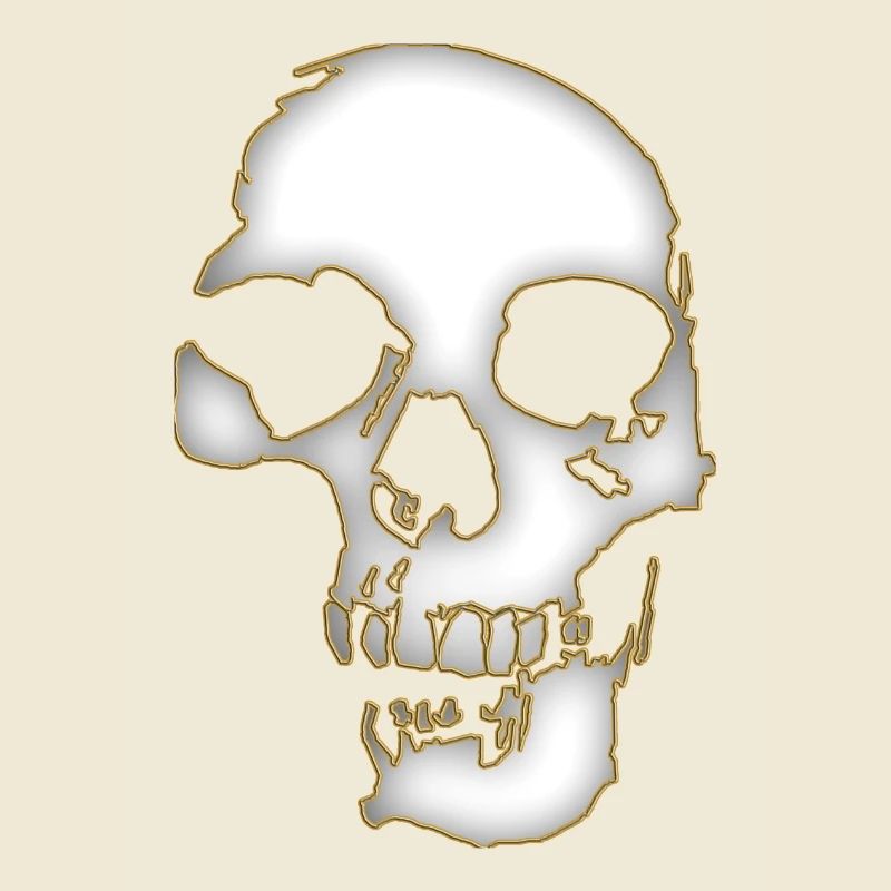 Skull 3