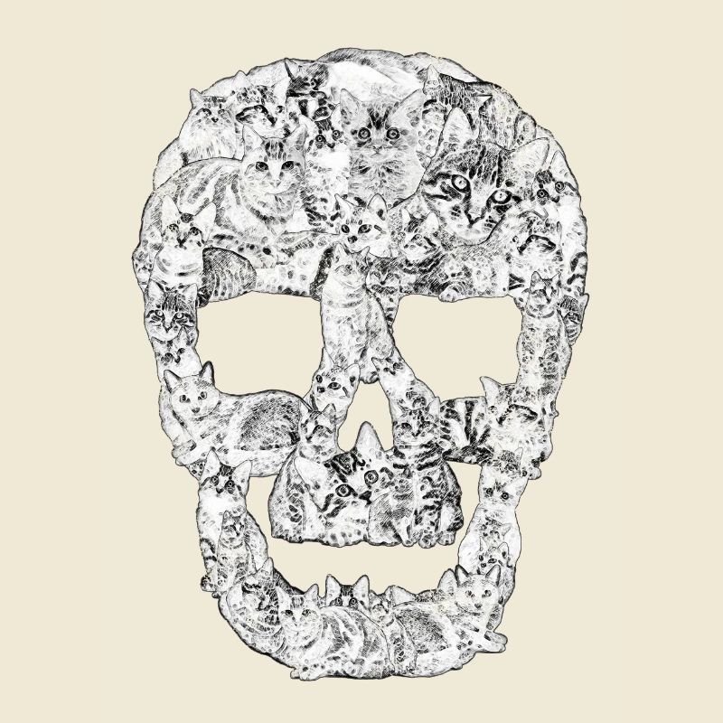 Funny Cat Skull Kitty Cats Kitten Ironic Pet Gift