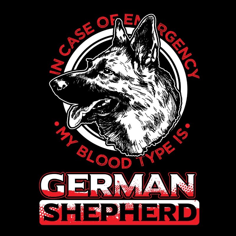Schäferhund