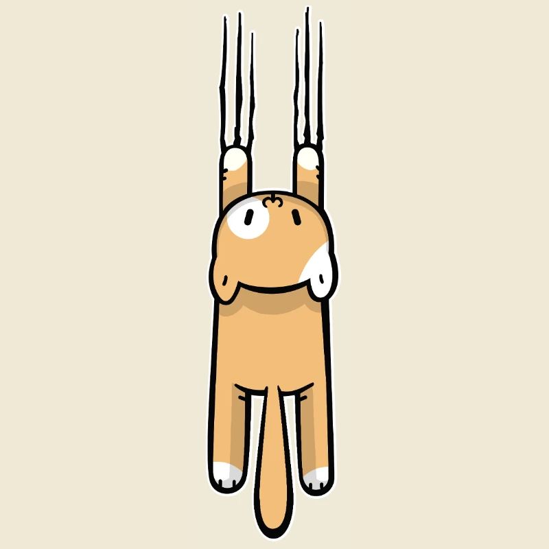 Chat qui gratte