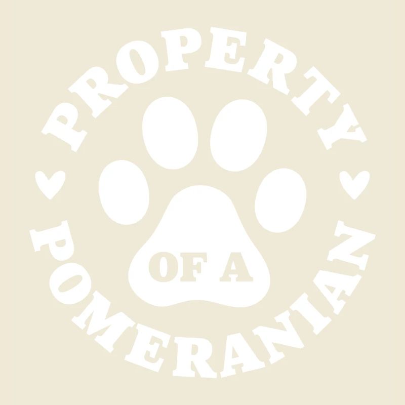 Eigentum eines Zwergspitzs