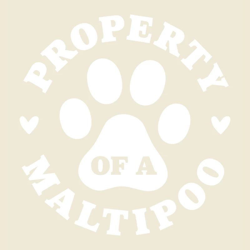 Eigentum eines Maltipoo