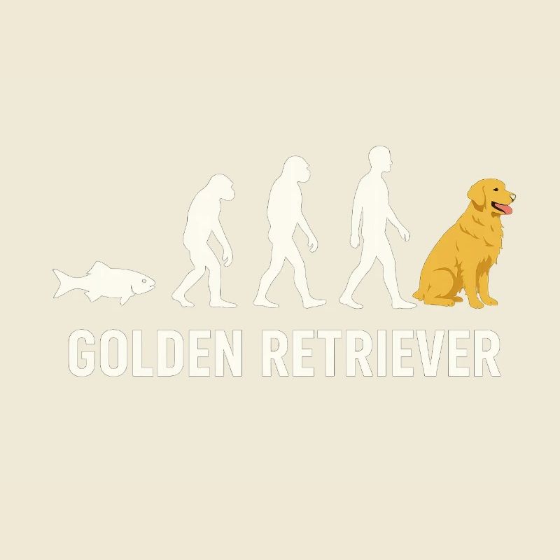 Evolution du Golden Retriever