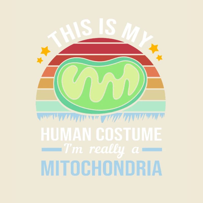 Formule structurelle de la molécule