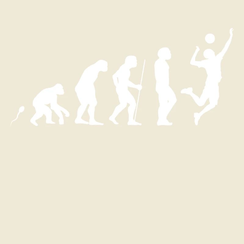 Evolution Volleyball 7