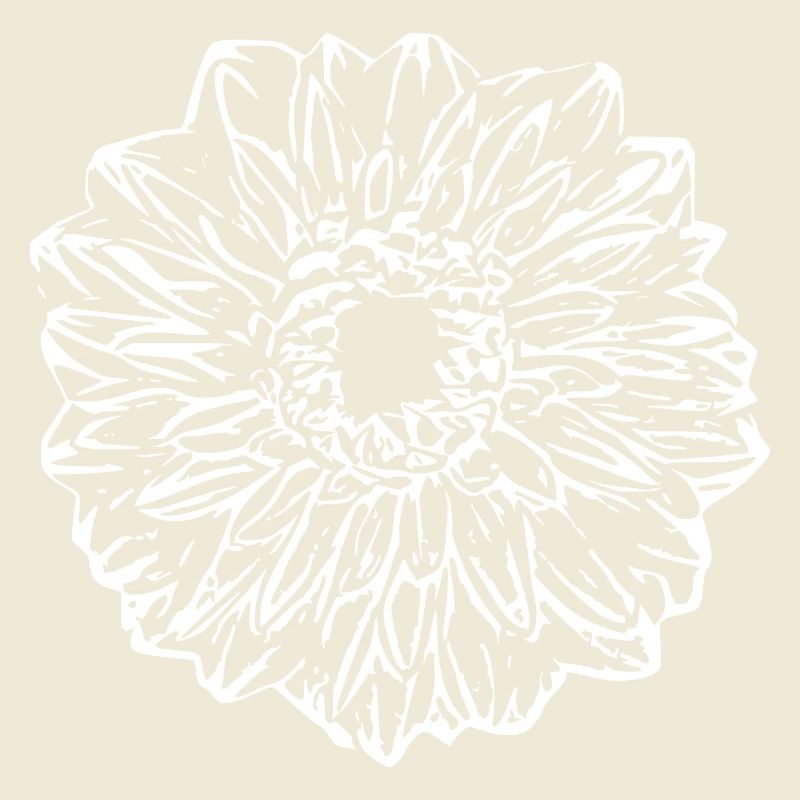 Fleur, Blanc, Fleur Blanche
