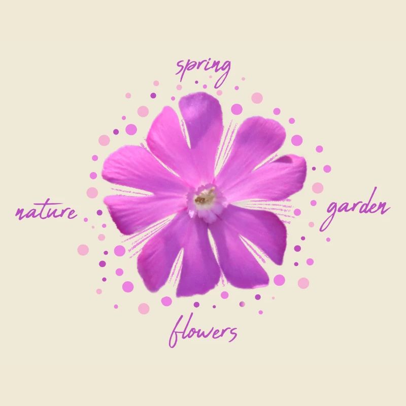 fleur rose fleurs roses
