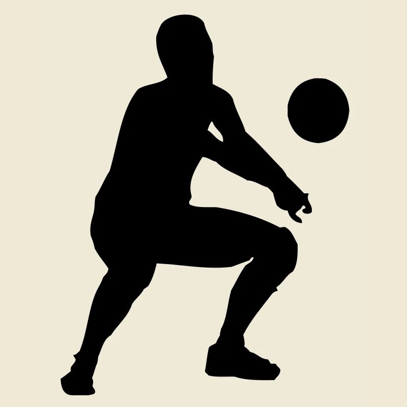 volleyball bagger