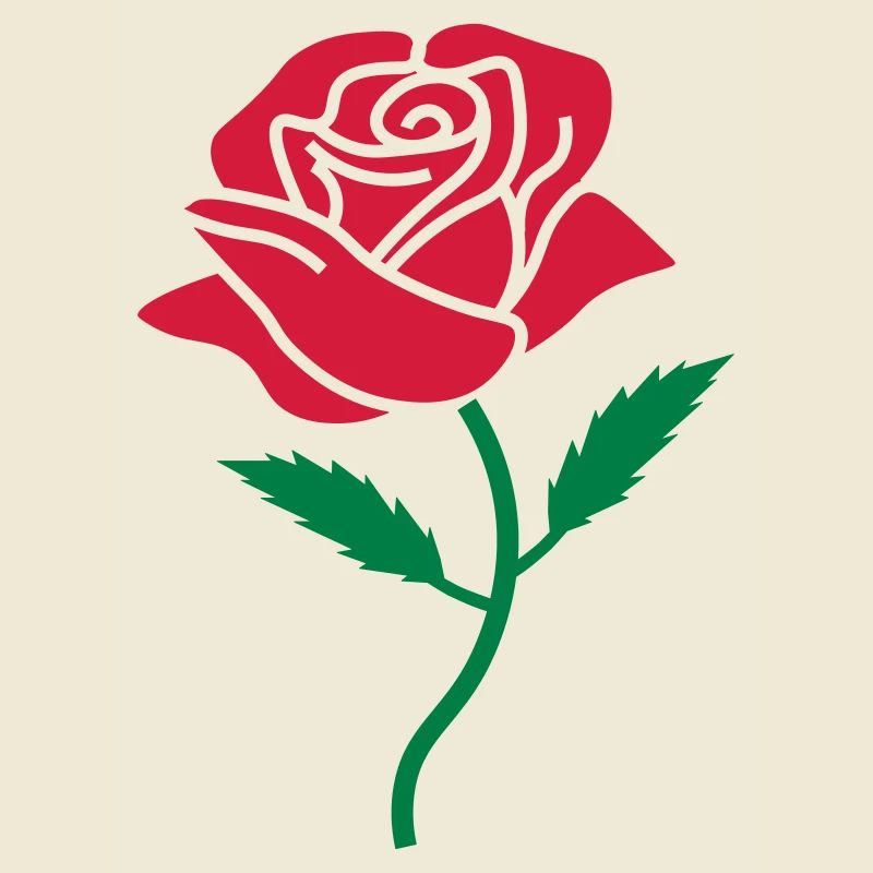 couleur rose