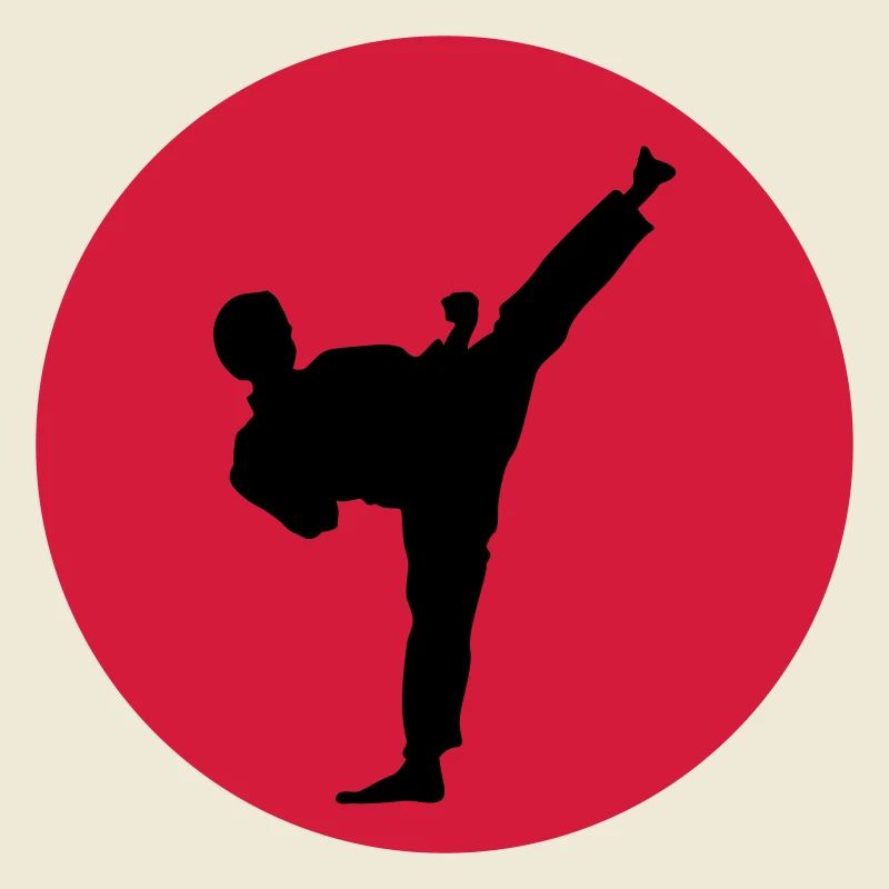Kampfsport, Kick