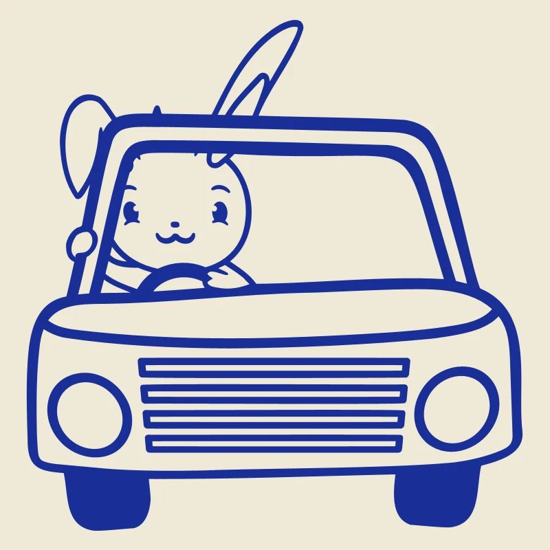 Rabbit Driving Car Driver Driving License Passed